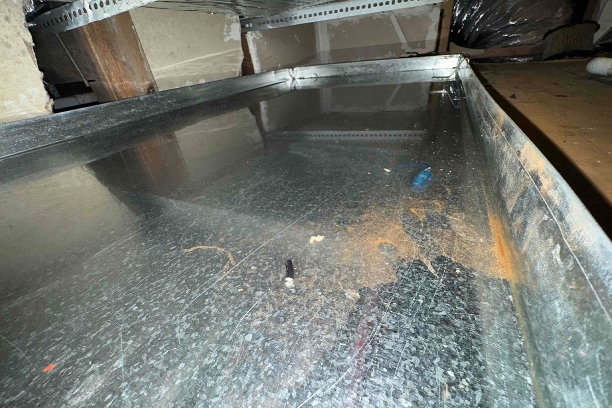 Don’t Ignore a Full Drip Pan: Warning Signs Every Tampa Bay Homeowner Should Know