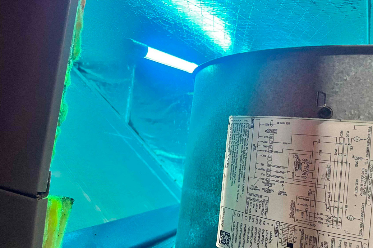Breathe Easy Again: How UV Light Can Help Allergy Sufferers Take Control of Their Air